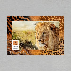 Liberec ZOO - Lev - magnet C6 rám zoo dvojitý