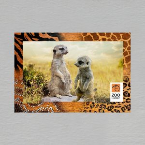 Liberec ZOO - Surikaty - magnet C6 rám zoo dvojitý