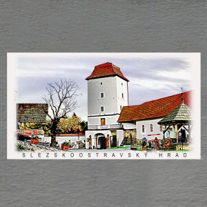Slezskoostravský hrad - magnet DL