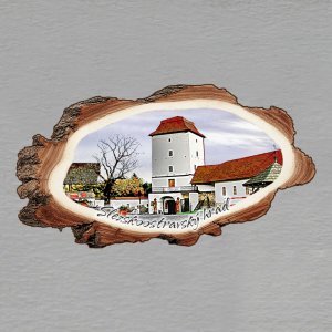 Slezskoostravský hrad - magnet kůra