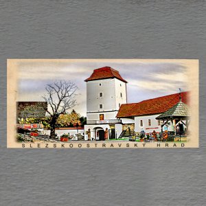 Slezskoostravský hrad - pohled DL