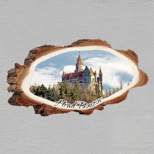 Bouzov - hrad -  magnet kůra