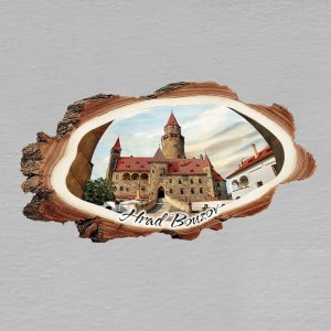 Bouzov - hrad - magnet kůra